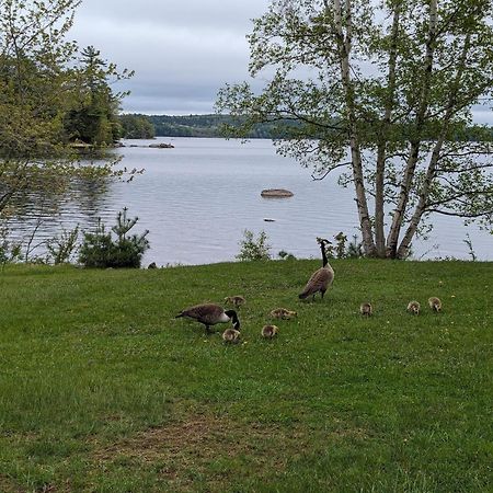 Alamoosook Lakeside Inn Orland Exteriér fotografie