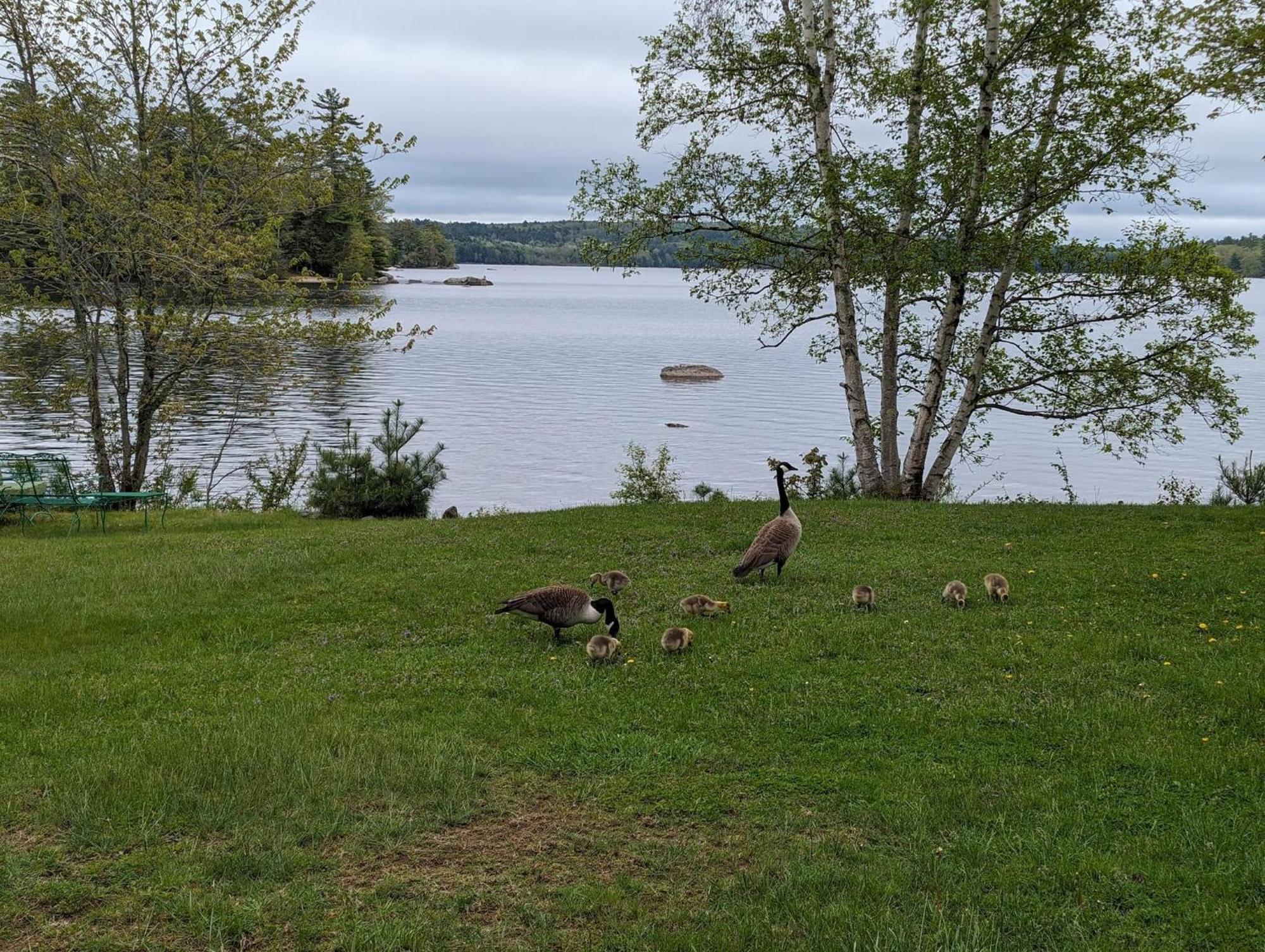 Alamoosook Lakeside Inn Orland Exteriér fotografie